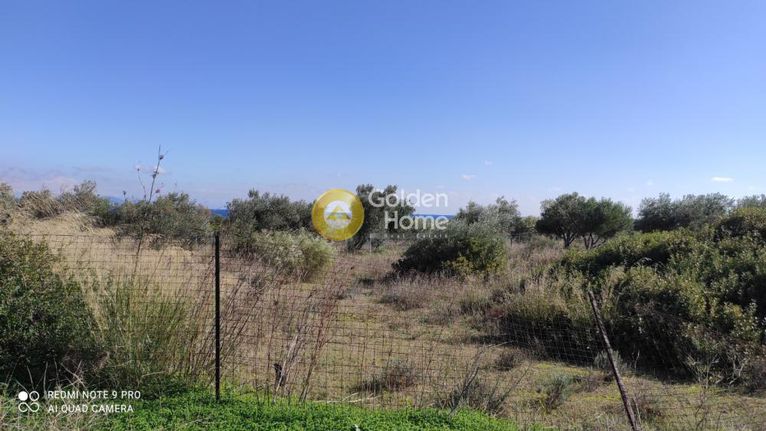 Land plot 2.000 sqm for sale, Rest Of Attica, Markopoulo