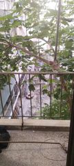 Διαμέρισμα 56 τ.μ. για πώληση, Αθήνα - Κέντρο, Αττική-thumb-4