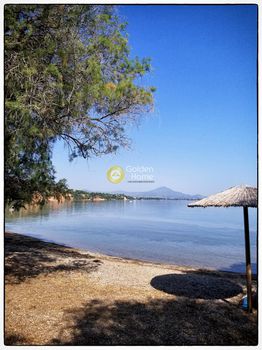 Parcel 246sqm for sale-Schimatari » Plaka Dilesi