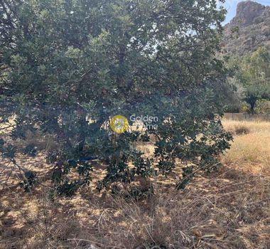 Land plot 1.100sqm for sale-Mallia » Stalida