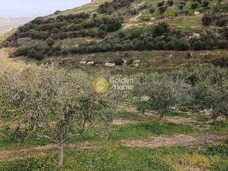 Land plot 725sqm for sale-Heraclion Cretes » Vasileies