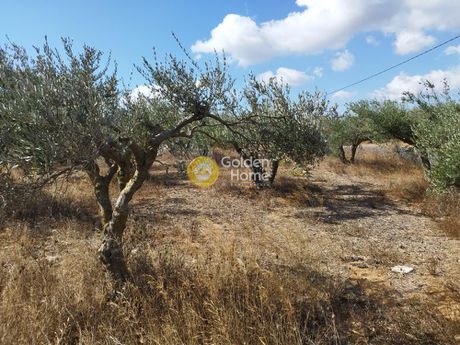 Land plot 1.600sqm for sale-Arkalochori » Roussochoria