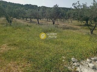 Οικόπεδο 6.500 τ.μ. για πώληση