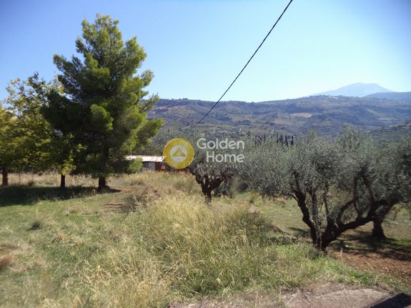 Αγροτεμάχια 9.625 τ.μ. για πώληση, Αχαΐα, Αίγιο