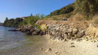 Αγροτεμάχια 12.296 τ.μ. για πώληση