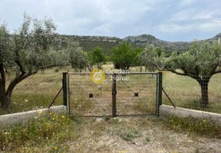 Αγροτεμάχια 5.607 τ.μ. για πώληση