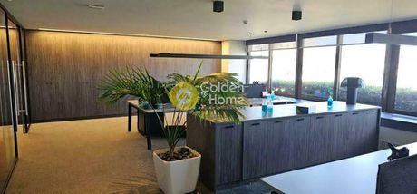 Office 563sqm for rent-Terpsithea