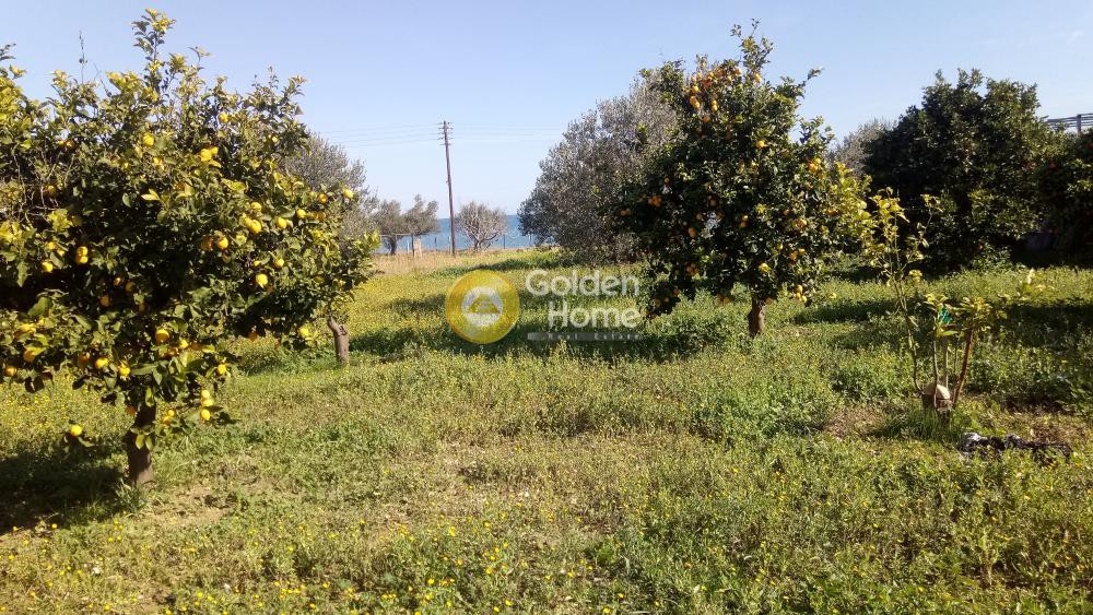 Οικόπεδο 3.300 τ.μ. προς πώληση, Άνω Αλμυρή