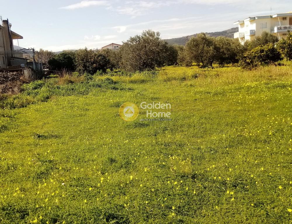 Οικόπεδο 3.300 τ.μ. προς πώληση, Άνω Αλμυρή