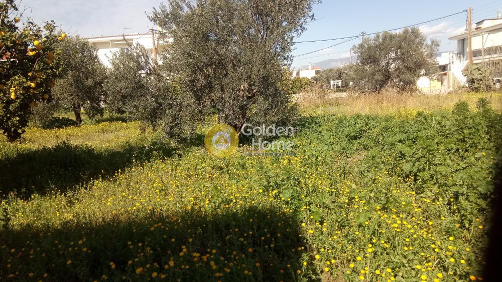 Οικόπεδο 3.300 τ.μ. προς πώληση, Άνω Αλμυρή