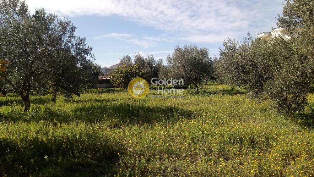 Οικόπεδο 3.300 τ.μ. προς πώληση, Άνω Αλμυρή