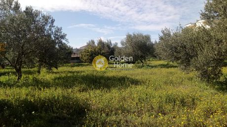 Land plot 3.300sqm for sale-Saronikos » Ano Almiri