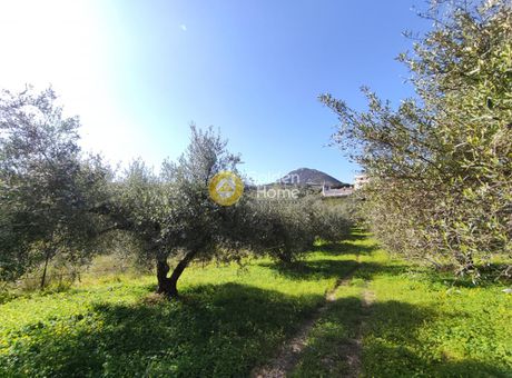 Land plot 2.007sqm for sale-Heraclion Cretes » Silamos