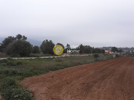 Αγροτεμάχια 545τ.μ. για πώληση-Κορωπί » Κέντρο