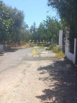 Οικόπεδο 3.416τ.μ. για πώληση-Αιγιάλεια » Άβυθος