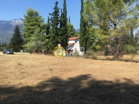 Οικόπεδο 1.600τ.μ. για πώληση-Παρνασσός » Πολύδροσος
