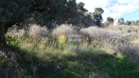 Αγροτεμάχια 1.189τ.μ. για πώληση-Ηράκλειο κρήτης » Φορτέτσα