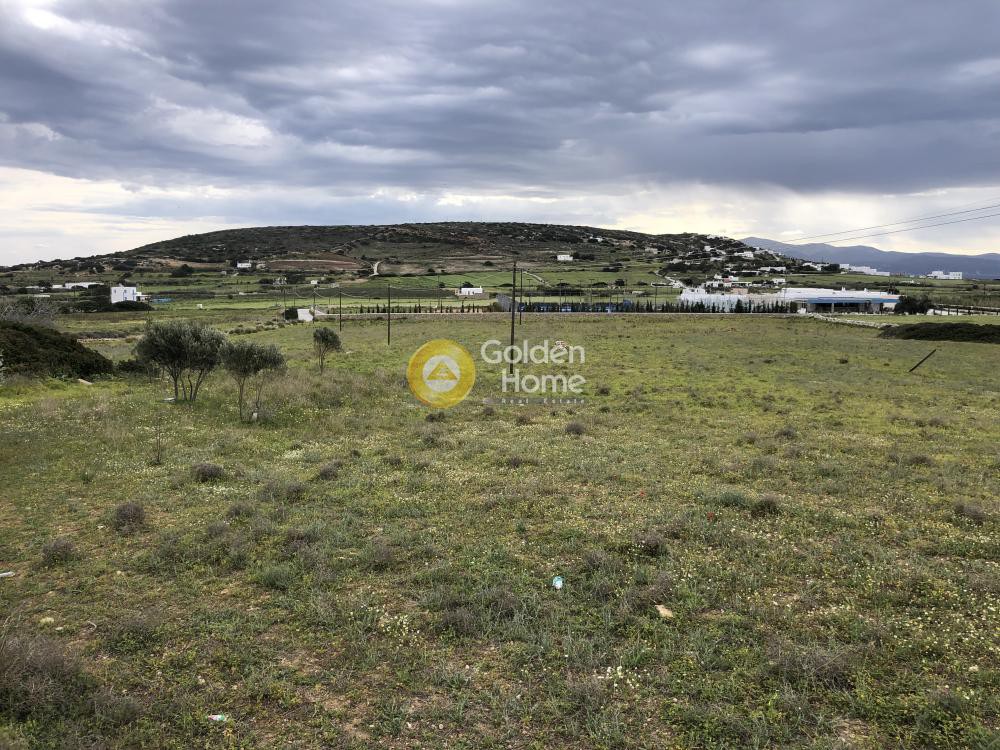 Αγροτεμάχια 12.845 τ.μ. προς πώληση, Ιστέρνι