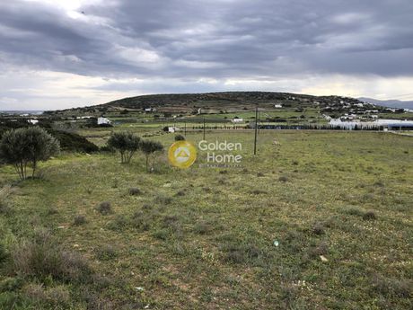 Αγροτεμάχια 12.845τ.μ. για πώληση-Πάρος » Ιστέρνι