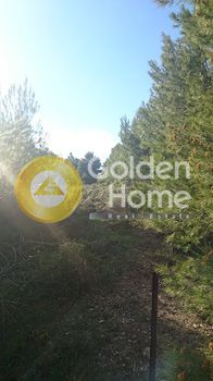 Land plot 1.249sqm for sale-Anthoisa
