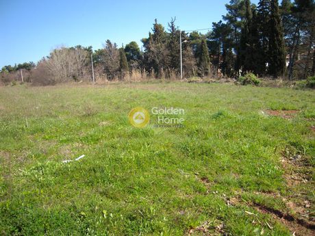 Land plot 5.000sqm for sale-Agios Stefanos » Nimfon