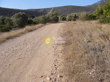 Αγροτεμάχια 725τ.μ. για πώληση-Κορωπί » Κέντρο