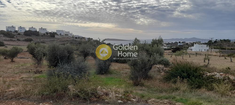 Αγροτεμάχια 4.600 τ.μ. προς πώληση, Αγκαιριά