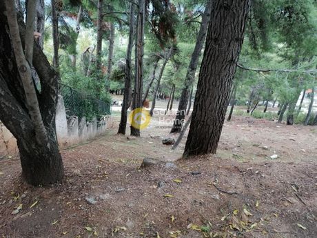 Οικόπεδο 904τ.μ. για πώληση-Διόνυσος » Κέντρο