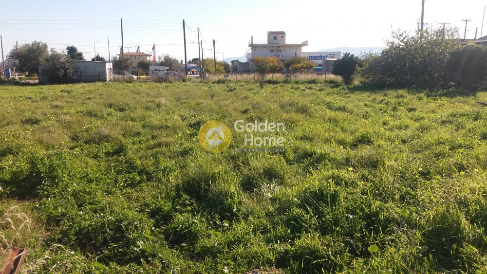 Οικόπεδο 2.394 τ.μ. προς πώληση, Αγία Άννα Κορίνθου