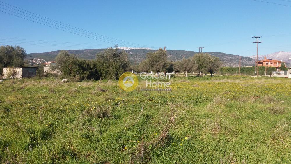 Οικόπεδο 2.394 τ.μ. προς πώληση, Αγία Άννα Κορίνθου