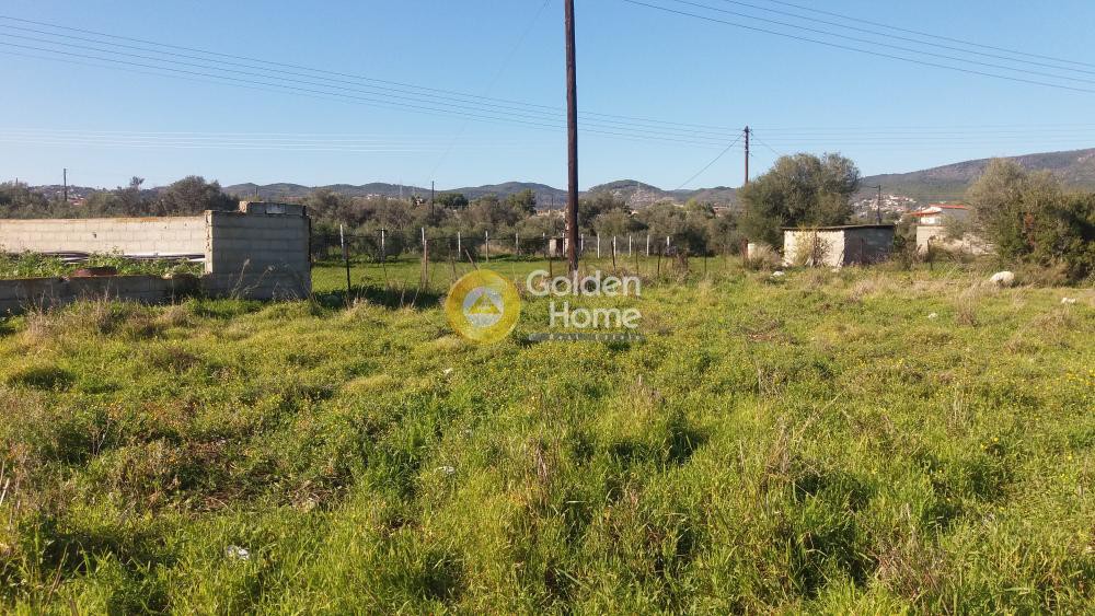 Οικόπεδο 2.394 τ.μ. προς πώληση, Αγία Άννα Κορίνθου