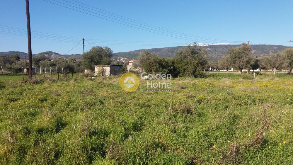 Οικόπεδο 2.394 τ.μ. προς πώληση, Αγία Άννα Κορίνθου