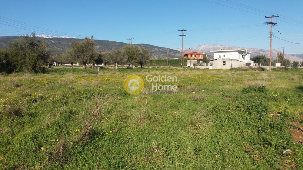 Οικόπεδο 2.394 τ.μ. προς πώληση, Αγία Άννα Κορίνθου