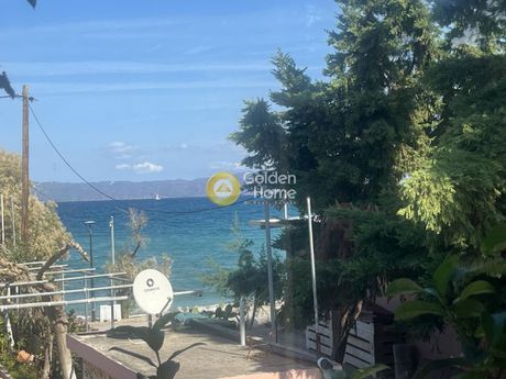 Store 500sqm for sale-Malesina » Theologos