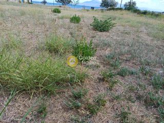 Parcel 30.000 sqm for sale