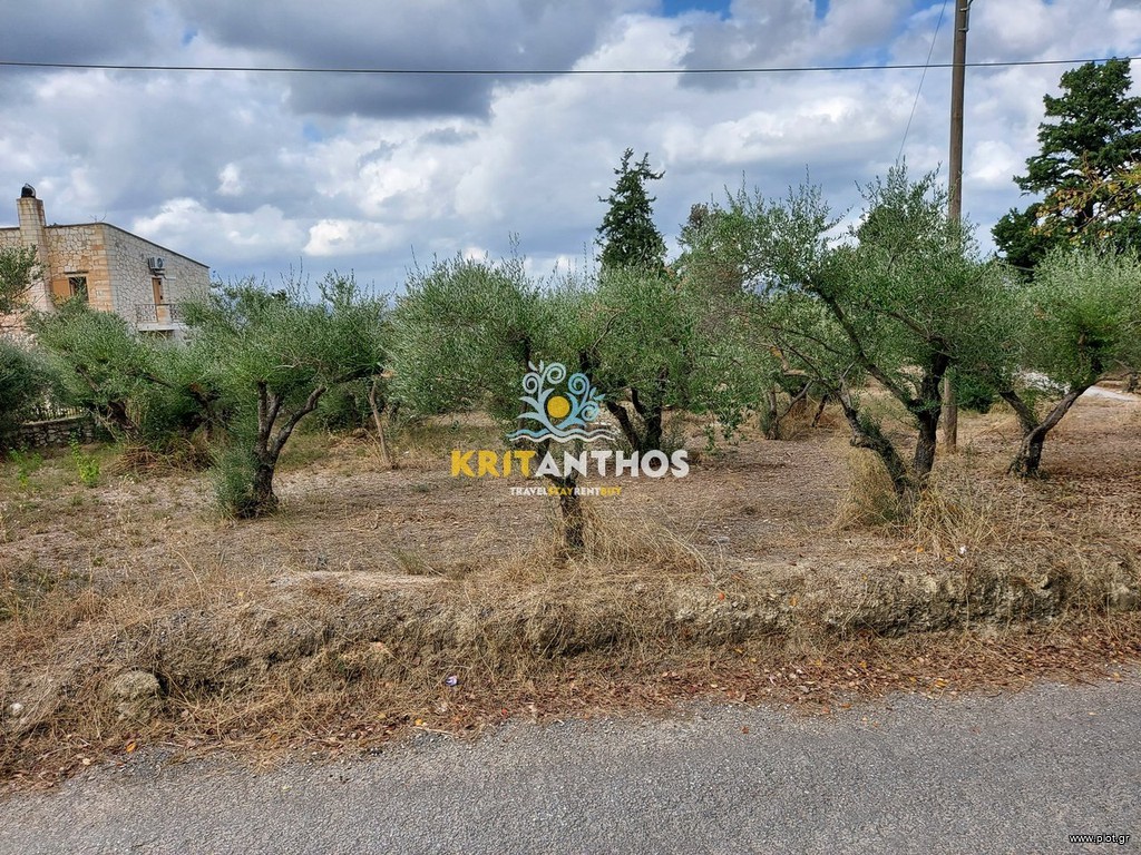 Οικόπεδο 2.354 τ.μ. προς πώληση, Βρύσες Κρυονερίδας