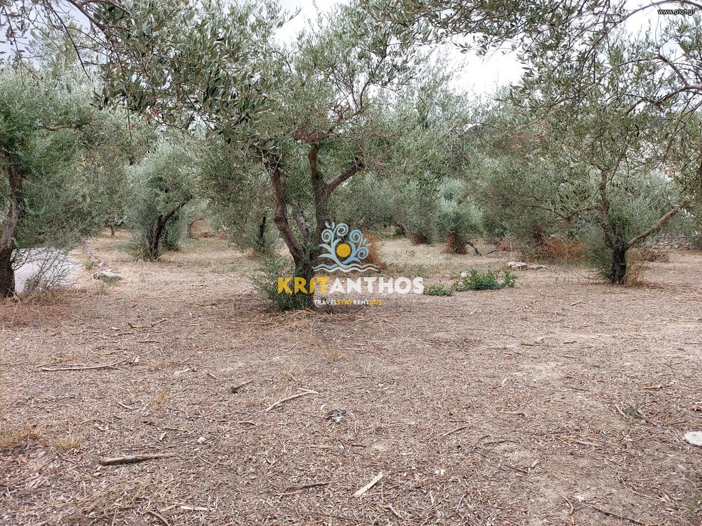 Οικόπεδο 2.354 τ.μ. προς πώληση, Βρύσες Κρυονερίδας