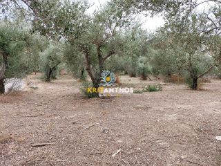 Οικόπεδο 2.354 τ.μ. για πώληση, Ν. Χανίων, Κρυονερίδα-thumb-3