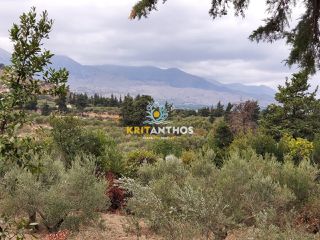 Οικόπεδο 2.354 τ.μ. για πώληση, Ν. Χανίων, Κρυονερίδα-thumb-4