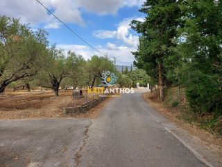 Οικόπεδο 2.354 τ.μ. για πώληση, Ν. Χανίων, Κρυονερίδα-thumb-6