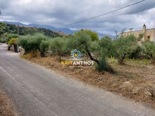 Οικόπεδο 2.354 τ.μ. για πώληση, Ν. Χανίων, Κρυονερίδα-thumb-9