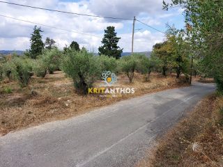 Οικόπεδο 2.354 τ.μ. για πώληση, Ν. Χανίων, Κρυονερίδα-thumb-10
