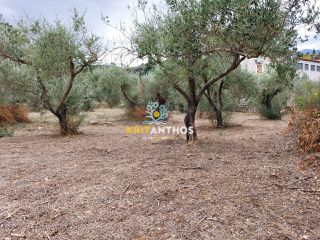 Οικόπεδο 2.354 τ.μ. για πώληση, Ν. Χανίων, Κρυονερίδα-thumb-17