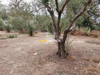 Οικόπεδο 2.354 τ.μ. για πώληση, Ν. Χανίων, Κρυονερίδα-thumb-19