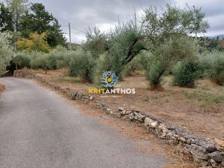 Οικόπεδο 2.354 τ.μ. για πώληση, Ν. Χανίων, Κρυονερίδα-thumb-20