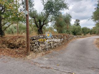 Οικόπεδο 2.354 τ.μ. για πώληση, Ν. Χανίων, Κρυονερίδα-thumb-22