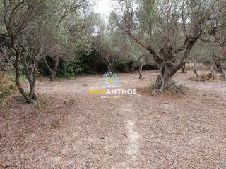 Οικόπεδο 2.354 τ.μ. για πώληση, Ν. Χανίων, Κρυονερίδα-thumb-23