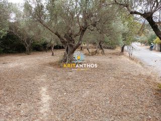 Οικόπεδο 2.354 τ.μ. για πώληση, Ν. Χανίων, Κρυονερίδα-thumb-24