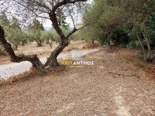 Οικόπεδο 2.354 τ.μ. για πώληση, Ν. Χανίων, Κρυονερίδα-thumb-25