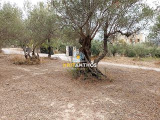 Οικόπεδο 2.354 τ.μ. για πώληση, Ν. Χανίων, Κρυονερίδα-thumb-26